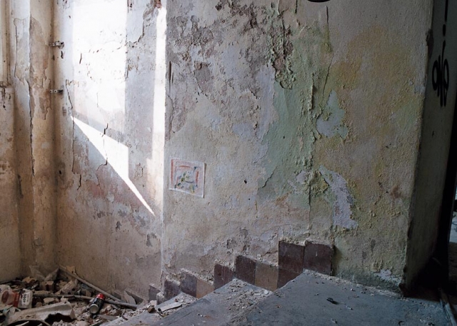 b in situ