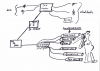 Col-me-organ