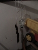Moos sensor